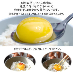 平飼い卵 6個入 4パック 新鮮たまご 産卵後2日以内に発送 養鶏場直送 新鮮 生卵 卵かけご飯 平飼い 赤玉 濃厚 鶏卵 栄養 甘み
