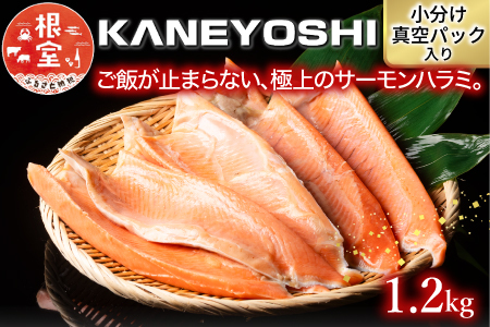 とろサーモンハラミ1.2kg G-09006