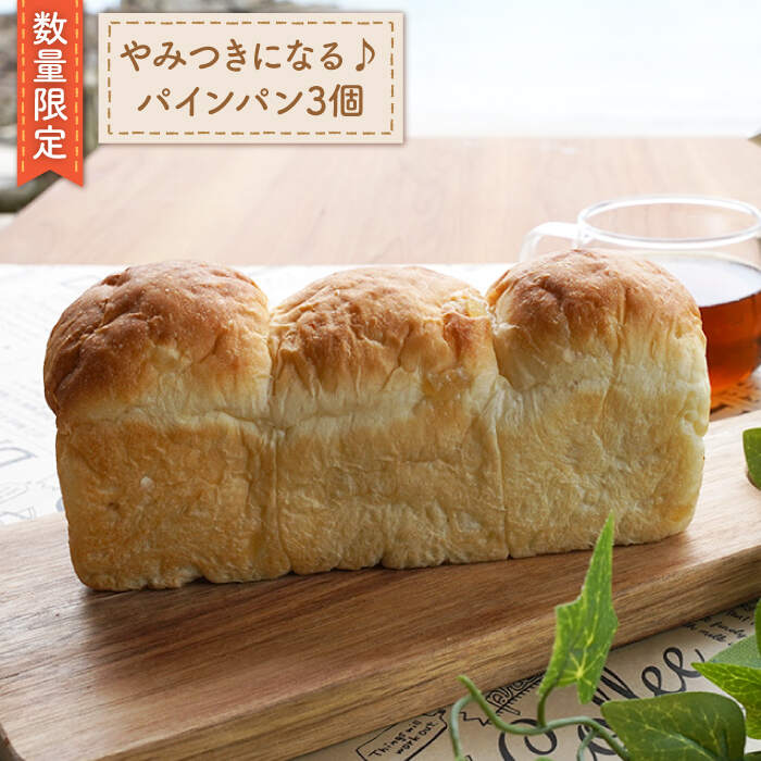 【ふるさと納税】【数量限定】長崎といえば！パインパン＜岡崎製パン所＞ [CEP021]