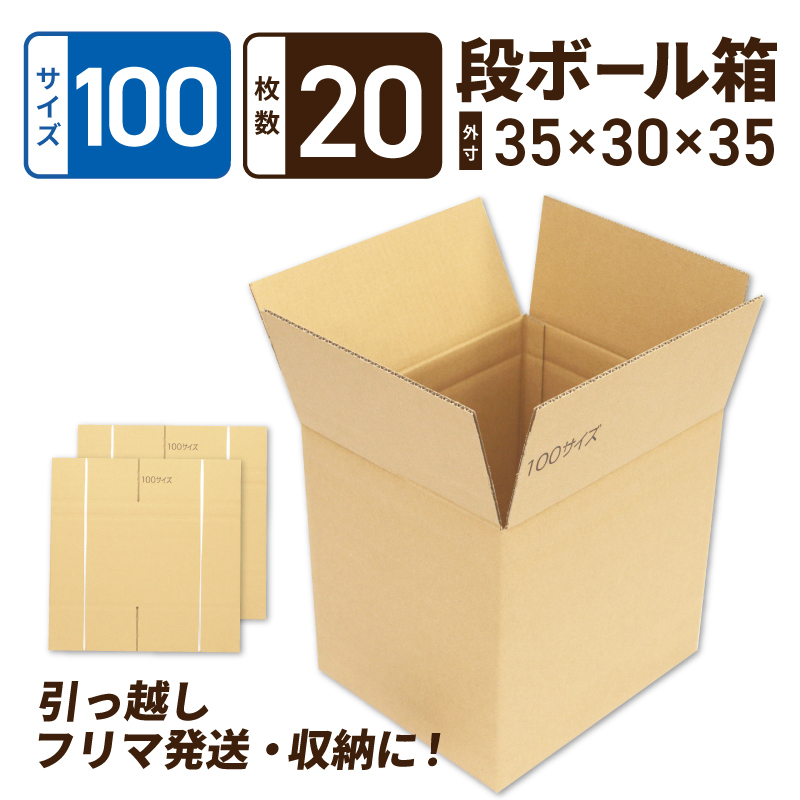 定番段ボール箱 宅配100サイズ×20枚セット【荷物 発送 引っ越し 収納 整理 フリマサイト 通販 配送 梱包】 099H4702