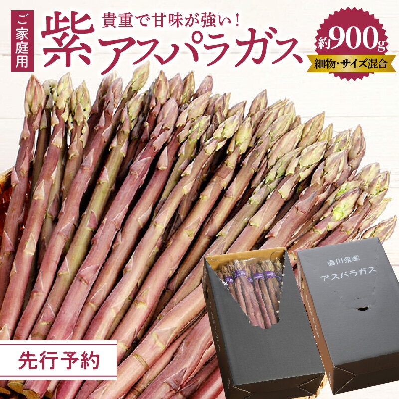 【ふるさと納税】貴重で甘みが強い ! ご家庭用 紫 アスパラガス (細物・サイズ混合) 約900g【2025-6月上旬～2025-10月中旬配送】 | 柔らかい 強い甘み 野菜 食品 人気 おすすめ お取り寄せ お取り寄せグルメ 産地直送