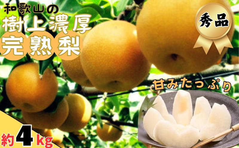 
                  【先行予約】【秋の美味】和歌山の樹上成熟梨　約4kg 【2026年8月上旬～9月中旬頃配送】※着日指定不可【ard203A】
                