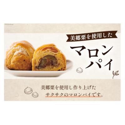 ふるさと納税 美郷町 お菓子 マロンパイ 4個 栗菓子工房みず穂屋 宮崎県 美郷町 栗 和栗 くり [31at0016] |  | 01