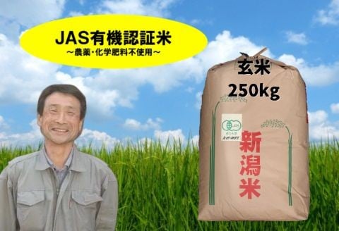 
                  【令和7年産】JAS有機認証米 コシヒカリ 玄米 250kg（10kg×25袋） 精米も可 新潟県 米 こめ コメ 玄米 さいとう農園 1G16001
                