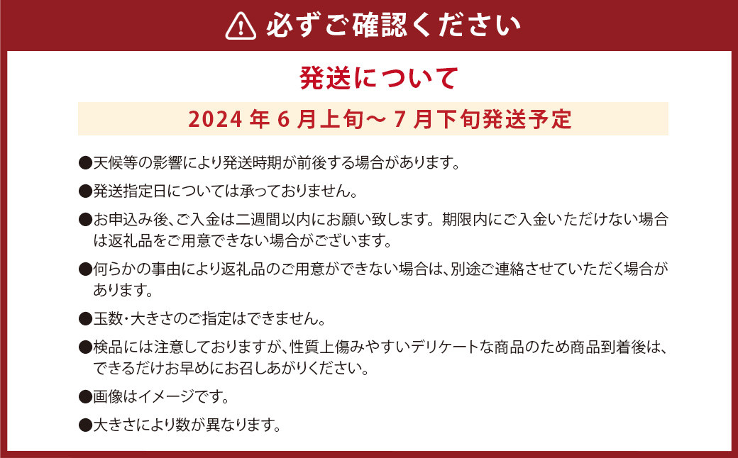 【訳あり】河内晩柑 約7kg【2024年6月上旬～7月下旬発送予定】【えひめの町（超）推し！（愛南町）】（452）