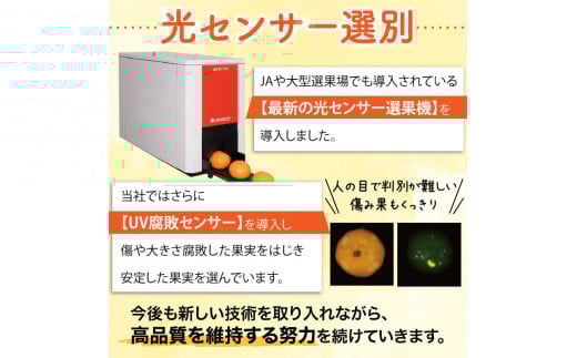 【2024年11月発送予約分】＼光センサー選別／ 【農家直送】【家庭用】こだわりの有田みかん 約4kg＋120g(傷み補償分) 先行予約 有機質肥料100% サイズ混合 【11月発送】みかん ミカン 