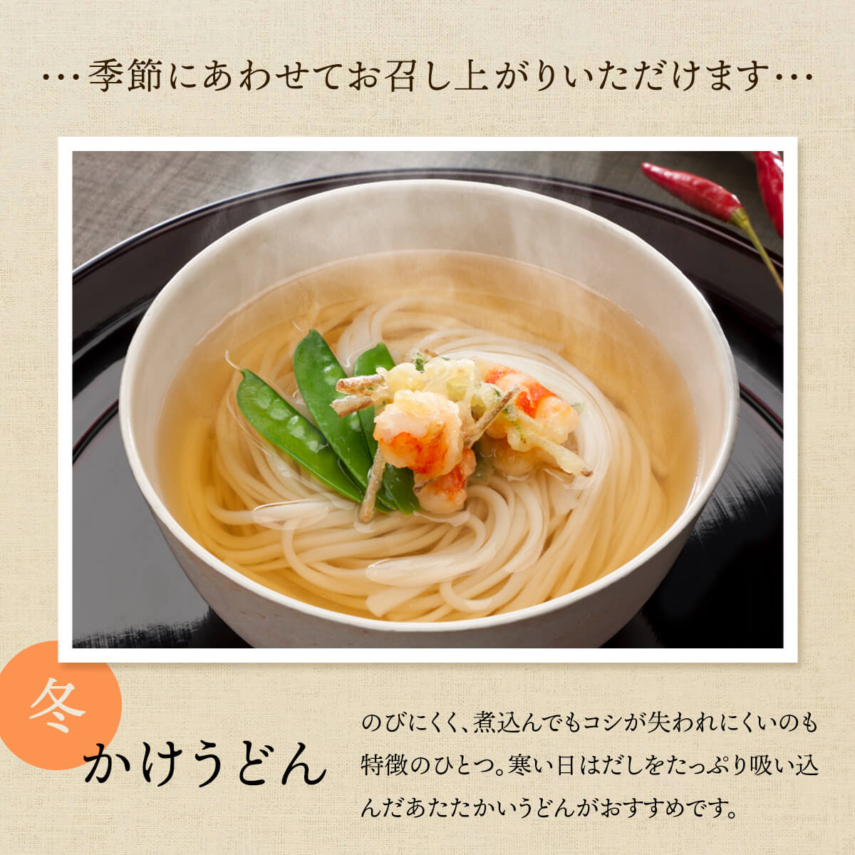 【3回隔月定期便】 海津屋　氷見うどんセット 乾麺 定期便 