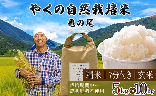 
                  ＜選べる精米方法/内容量・令和8年産・先行予約＞やくの自然栽培米 亀の尾 (玄米/7分づき/白米・5kg/10kg) 【fc-EV004】【ゆたか（ゆたか自然農園）】
                