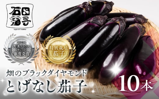 ≪先行予約≫とげなし茄子 10本  ナス 茄子 なす なすび 野菜 旬 旬の野菜 糖度 石田茄子 トゲなし　とげなし お取り寄せ 健康 夕飯 おかず 愛知県 豊橋市 