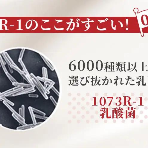 飲むヨーグルト R1 GOLD 6ヶ月 飲むヨーグルト
