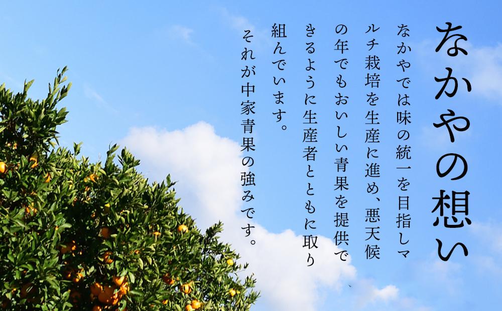 和歌山県産 糖度 12.5度以上 訳あり みかん 5kg 3S ～ Lサイズ混合［MG57］