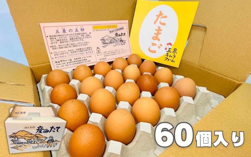 【12回定期便】キムラファームの産みたて卵 赤たまご60個(Mサイズ)産みたてたまご たまご 卵 玉子 タマゴ 鶏卵 オムレツ 卵かけご飯 たまご焼き 新潟県 五泉市
