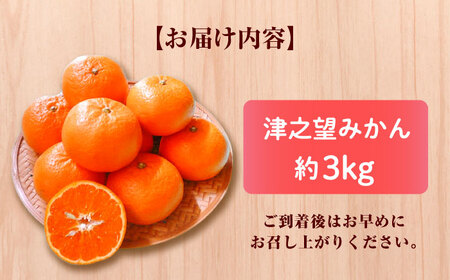 【ご家庭用】 津之望約3kg（つののぞみ） 長与町/果豊園[ECL008]