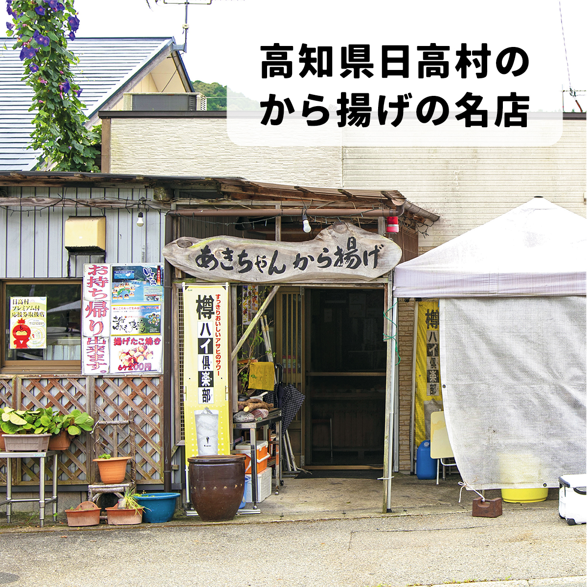 四万十鶏 鶏むね肉 串刺し 唐揚げ 12本 温めるだけ 真空パック 土佐 高知 地鶏_イメージ2