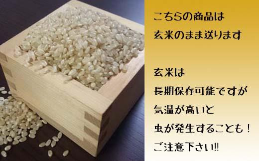 令和5年産北海道岩見沢市産　おぼろづき玄米30kg≪沖縄・離島配送不可≫