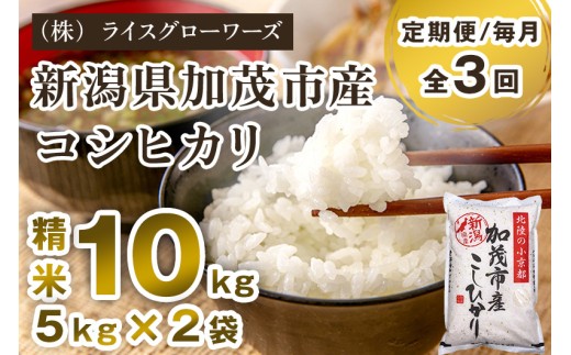 【令和7年産】【定期便3回毎月お届け】新潟県加茂市産コシヒカリ 精米10kg（5kg×2）《順次出荷 》 新潟県産コシヒカリ 新潟産コシヒカリ 新潟コシヒカリ 新潟県産こしひかり 新潟産こしひかり 新潟こしひかり コシヒカリ こしひかり お米 白米 米 定期便 （株）ライスグローワーズ