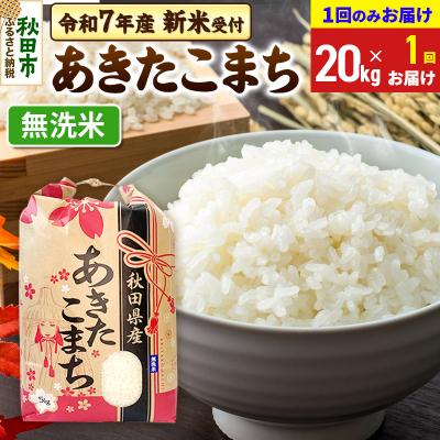 ふるさと納税 秋田市 先行受付 あきたこまち20kg 無洗米|15_kml-012001ms