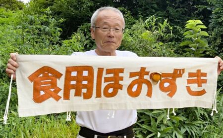 【農薬不使用】 フルーツほおずき 太陽の子 1kg バディアス農園 先行予約 