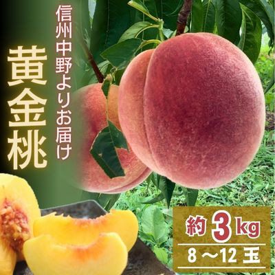
                  黄金桃 約3kg(8～12玉)【1495414】
                