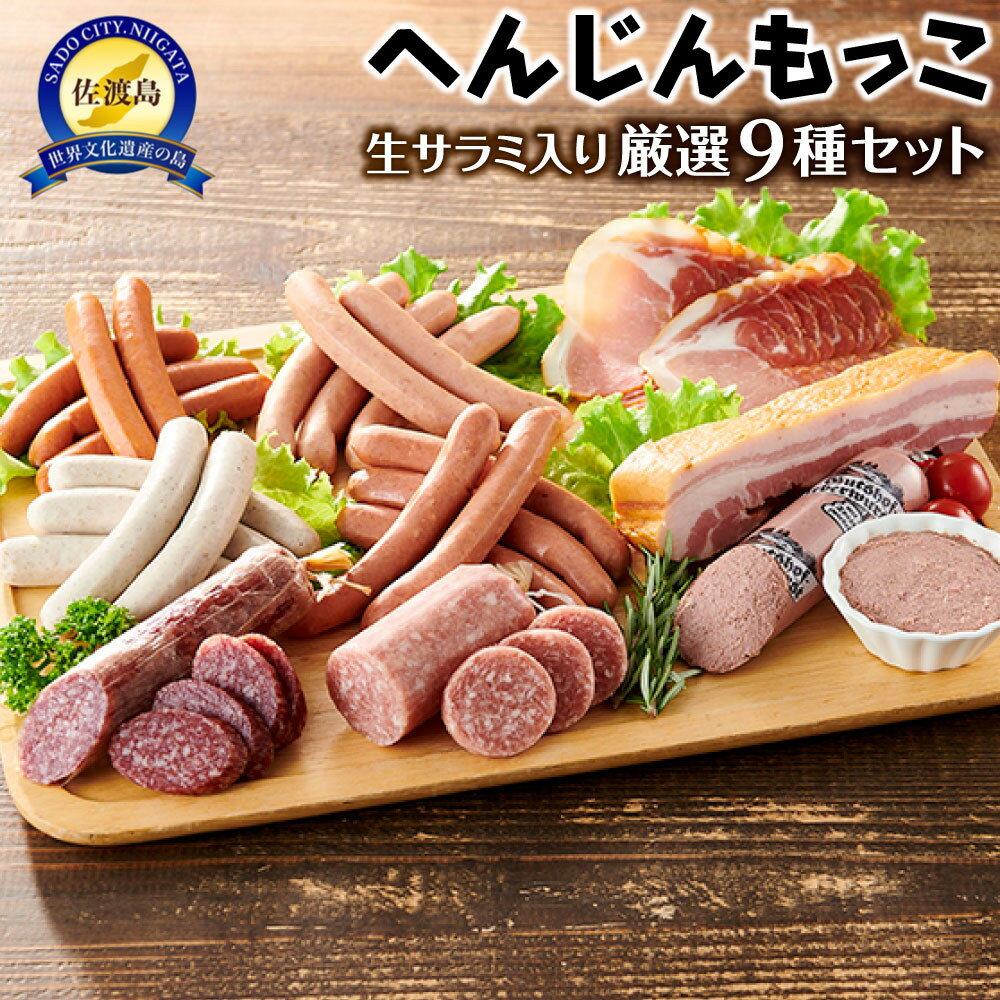 【ふるさと納税】サラミ ソーセージ ベーコン ハム 9種 約1.3kg | 肉 お肉 にく 食品 国産 人気 おすすめ 送料無料 ギフト 詰め合わせ セット ウィンナー ウインナー チョリソー 生ハム 生サラミ ベーコン 食べ比べ へんじんもっこ
