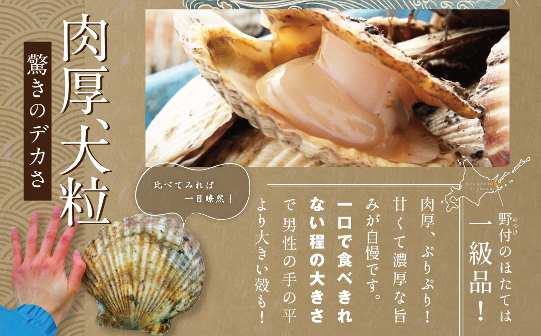【ホタテ禁輸措置生産地応援緊急支援品】ランキング第３位獲得！  野付産 冷凍 ホタテ 500g 大粒 （訳あり ホタテ 送料無料）水産事業者支援