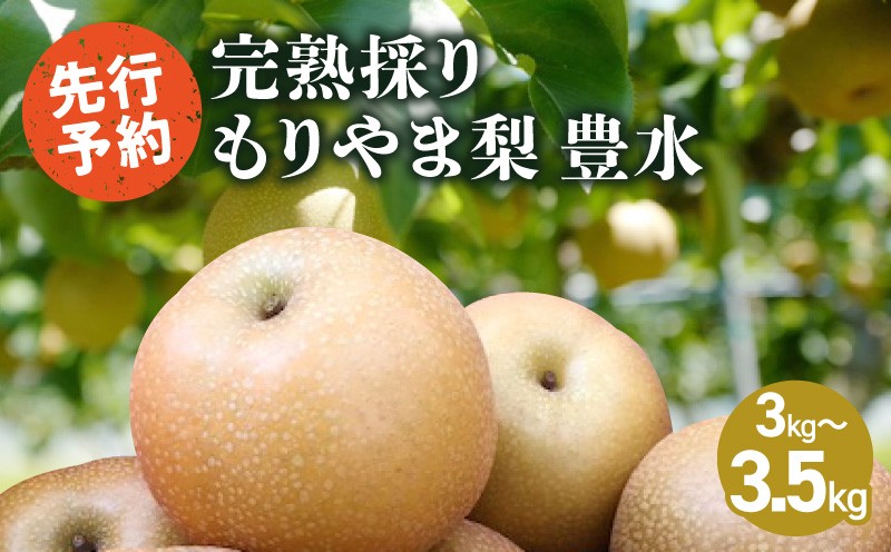 
                  完熟採り　もりやま梨（豊水）3キロ～3.5キロ 【先行予約】 CW-0002
                