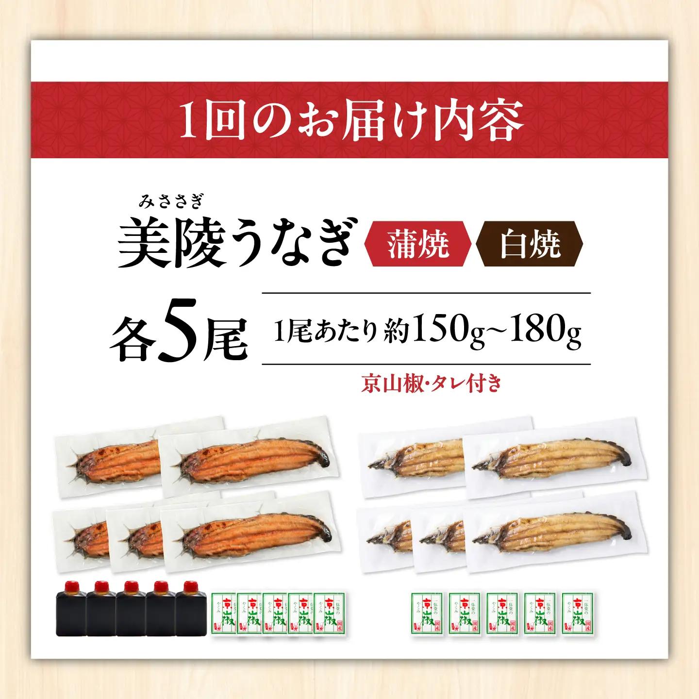 【全6回定期便】鰻 鰻の蒲焼5尾×白焼5尾 紅白セット / 美陵鰻 鰻 うなぎ ウナギ 蒲焼 蒲焼き かば焼き かばやき 白焼き 白焼 しろやき しらやき 特大 肉厚 うな重 うな丼 ひつまぶし 惣菜