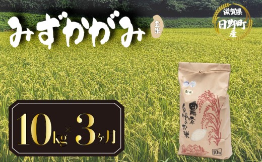 【 令和8年産 10kg 定期便 3ヶ月 】 みずかがみ 米 玄米 国産 滋賀県 日野町 農家直送 お米 おこめ こめ 産地直送 ふるさと納税