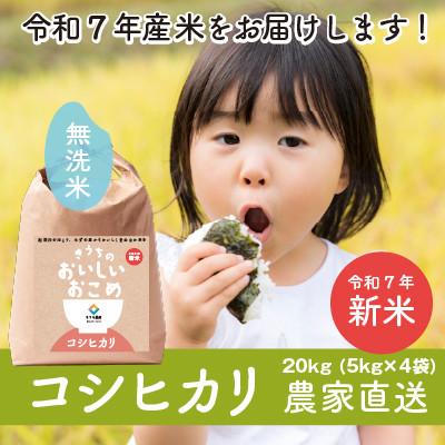 ふるさと納税 稲敷市 【令和7年産・自家栽培・自家精米・農家直送】稲敷市産コシヒカリ　20kg(5kg×4袋)無洗米
