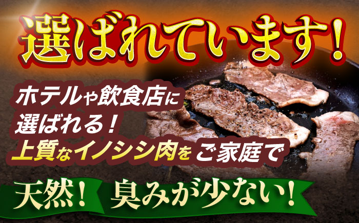 【3回定期便】ジビエ 天然イノシシ肉 切り落とし1kg（ぼたん鍋・煮込料理・野菜炒め用等）【照本食肉加工所】 [OAJ019] / 肉 猪 猪肉 イノシシ イノシシ肉 いのしし しし肉 しし鍋 ボタン