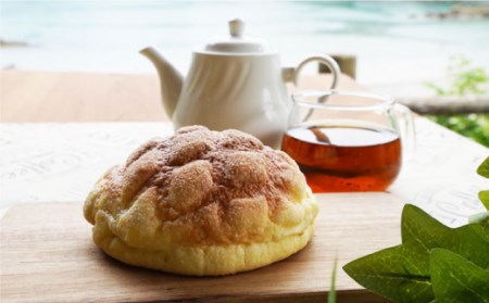 【数量限定】サクサクふわふわ！ メロンパン 10個＜岡崎製パン所＞ [CEP025]