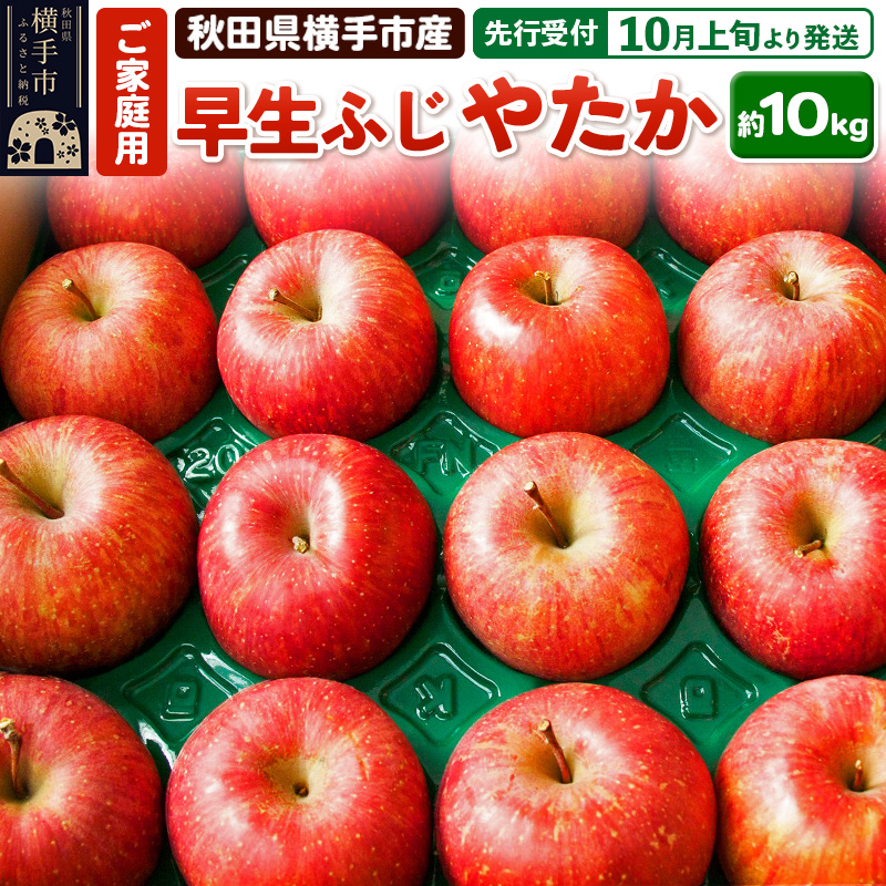 【先行受付】10月上旬より発送 横手市増田産りんご 早生ふじ・やたか ご家庭用 約10kg
