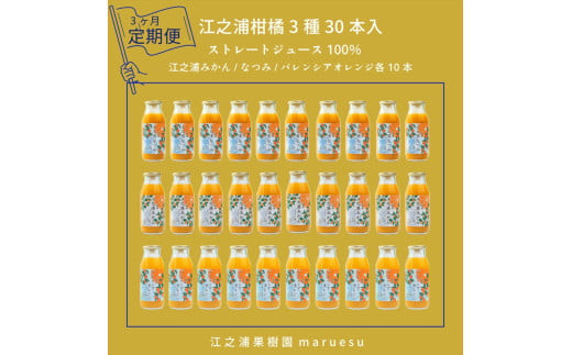 【定期便 3回】 小田原産江之浦みかんジュース３種のみくらべ３０本セット うんしゅう・なつみ・バレンシアオレンジ１００％ストレートジュース１８０ml各１０本合計３０本 142069_GJ103