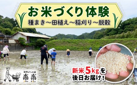 お米づくり 体験チケット 糸島市 / 天然パン工房楽楽【いとしまごころ】 [AVC065] 体験チケット 体験チケット 体験チケット 体験チケット 体験チケット 体験チケット 体験チケット 