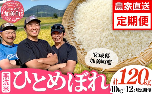 先行予約（2026年10月中旬～発送） 令和8年産【無洗米】【10kg×12回 計120kg】 米 宮城県産 ひとめぼれ 10kg 定期便  白米 精米 ご飯 ごはん コメ こめ お米 小分け 家庭用 結心ファーム [ 宮城県 加美町 ]
