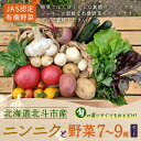 【ふるさと納税】【JAS認定有機野菜】北斗市産 ニンニクと野菜7～9種類野菜セット 紙箱入(季節で種類が変更) 【 ふるさと納税 人気 おすすめ ランキング ニンニク にんにく 国産ニンニク 野菜 旬 セット 有機野菜 無農薬 有機栽培 北海道 北斗市 送料無料 】 HOKB023