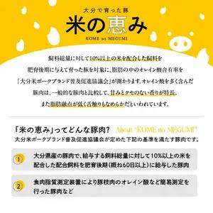おおいた和牛認定店はしづめ A4等級以上「おおいた和牛」300gと大分県産豚「米の恵み」200gのしゃぶしゃぶセット A01138
