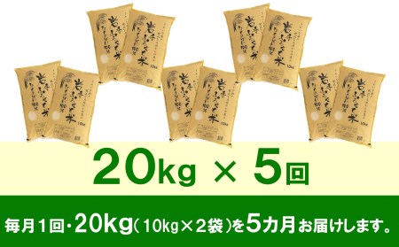 3人に1人がリピーター!☆全5回定期便☆ 岩手ふるさと米 20kg(10kg×2)×5ヶ月 令和5年産 一等米ひとめぼれ 東北有数のお米の産地 岩手県奥州市産 [U0176]