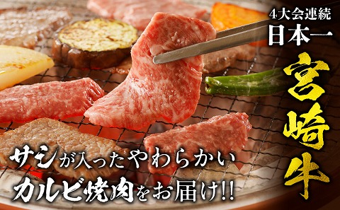 【定期便全3回】宮崎牛 カルビ焼肉 合計1kg