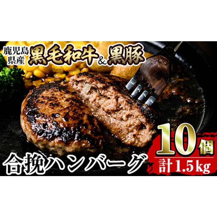 a842 黒毛和牛&黒豚合挽ハンバーグ計1.5kg(150g×10個)(トレー無しSDGs)【水迫畜産】姶良市 国産 合挽きハンバーグ