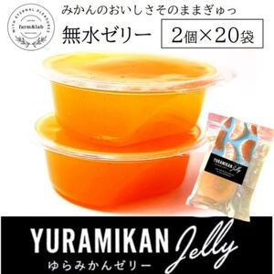 みかんの美味しさそのまま!無水みかんゼリー詰め合わせ 40個入(2個入×20袋)スプーン付【1519754】
