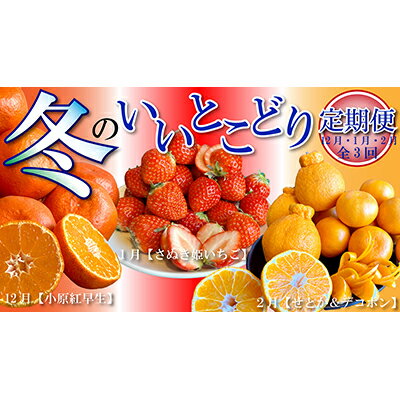 【ふるさと納税】 定期便 3回 冬のフルーツ いいとこどり定期便 みかん 蜜柑 柑橘 苺 いちご せとか デコポン 不知火 果物 詰合せ セット フルーツ ふるさと納税定期便 ふるさと納税フルーツ ふるさと納税 送料無料 ギフト 贈答 家庭用