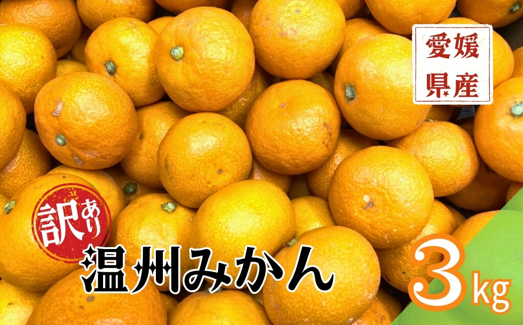 【2026年先行予約】訳あり 温州みかん 3kg ご家庭用 【2026年11月上旬以降発送】 人気 愛媛 みかん 柑橘 伊予市｜A109