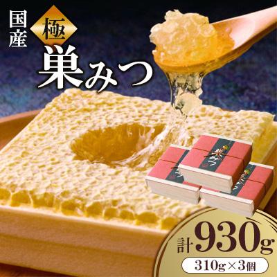 ふるさと納税 広川町 国産　極巣みつ　930g(310g×3個)(広川町)