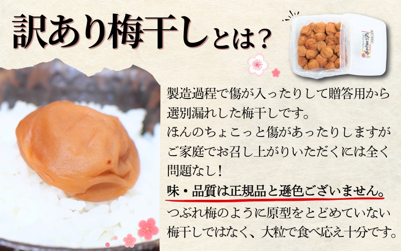 ご家庭用 紀州南高梅 大粒 はちみつ梅干し 1.5? 塩分約8% 無選別 訳あり /梅 梅干 梅干し うめ ウメ ハチミツ すさみ町 