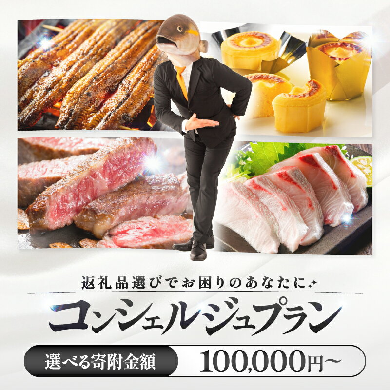 【ふるさと納税】コンシェルジュ プラン 選べる コース 10万円 ～ うなぎ 肉 牛 豚 鶏 魚 かんぱち 酒 焼酎 菓子 スイーツ 惣菜 総菜 野菜 日用品 おまかせ 厳選 鹿児島 鹿屋市 おすすめ ランキング プレゼント ギフト ランキング