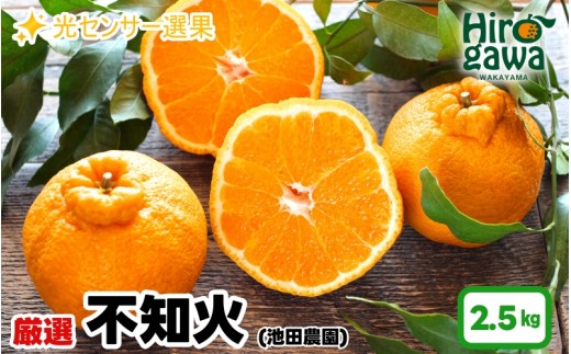
                  不知火 （ しらぬい ） 2.5kg+250g（痛み補償分） 厳選 光センサー【ikd010-p-2d5C】
                