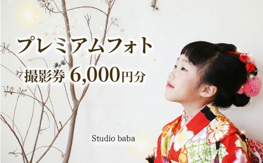 撮影 写真 撮影券 6,000円分 アルバム 贈り物 撮影プラン 記念写真 しゃしん チケット 写真 カメラ 家族 思い出 祖父 祖母 歴史 子ども キッズ 七五三 結婚式 成人式 記念撮影 家族写真 ロケーション 出張撮影 アニバーサリーフォト 出張カメラマン ギフト プレゼント 三好市