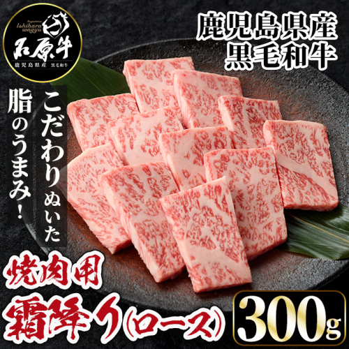 石原牛 霜降りロース 焼肉用(300g) 黒毛和牛 国産 九州産 鹿児島県産 ブランド牛 焼肉 BBQ 牛肉 和牛 霜降り ロース 冷凍 贅沢 贅沢な一品 贈答用 ギフト用 贅沢 贅沢な一品 贈答用 ギフト用【株式会社石原PRO】a-26-12