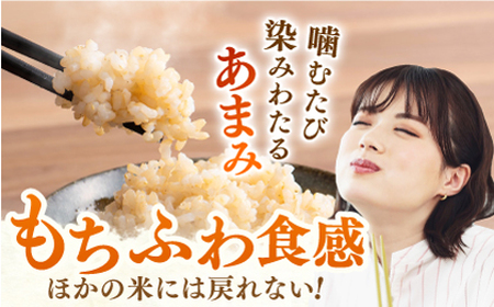 【特別栽培米】令和5年産 ももちゃんちのお米 さがびより玄米 5kg【ももさき農産】特A米 特A評価[HCG004]